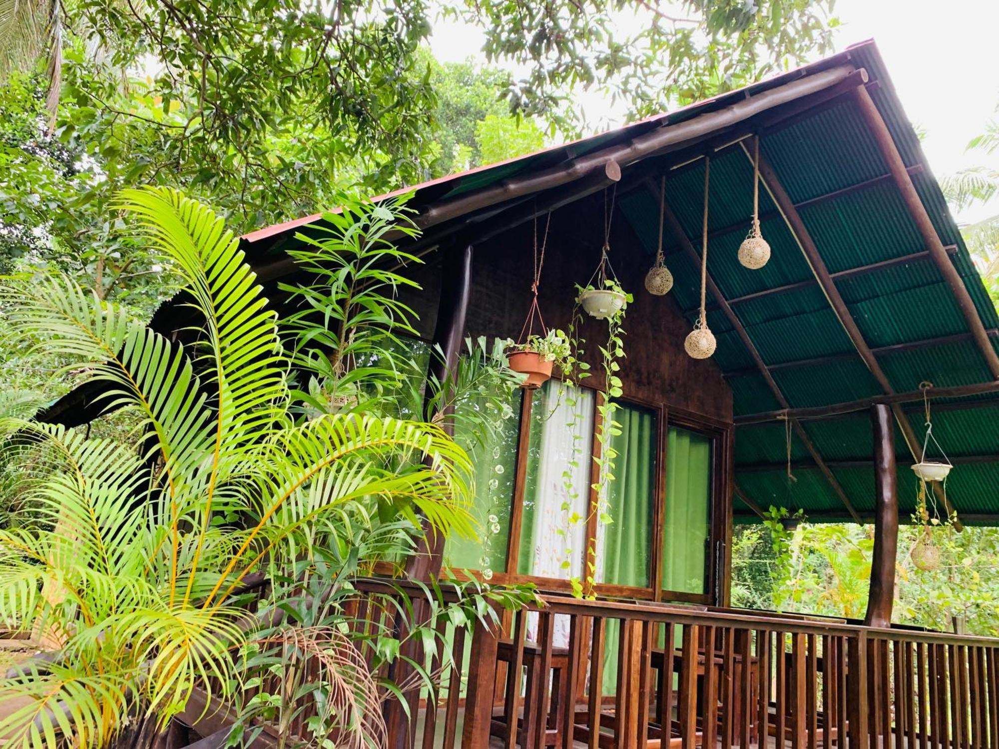 Nature World Udawalawe Rom bilde